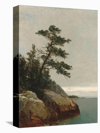 The Old Pine, Darien, Connecticut, 1872-John Frederick Kensett-Stretched Canvas