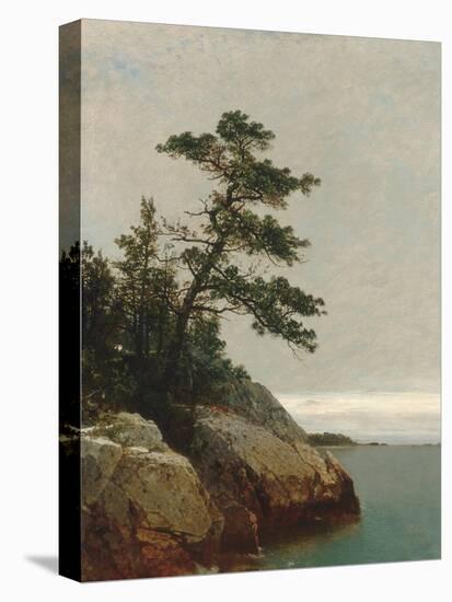 The Old Pine, Darien, Connecticut, 1872-John Frederick Kensett-Stretched Canvas