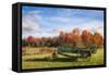 The Old Rake-Michael Blanchette-Framed Stretched Canvas