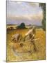 The Old Reaper, 1909 (Oil on Canvas)-George Clausen-Mounted Giclee Print