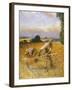 The Old Reaper, 1909 (Oil on Canvas)-George Clausen-Framed Giclee Print