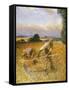 The Old Reaper, 1909 (Oil on Canvas)-George Clausen-Framed Stretched Canvas