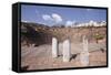 The Old Roman Theatre of Fourviere in the City of Lyon, Rhone-Alpes, France, Europe-Julian Elliott-Framed Stretched Canvas