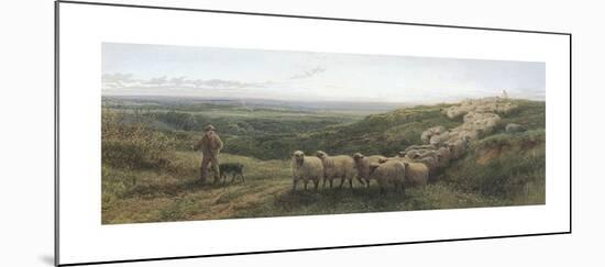 The Old Sheep Trail-George Shalders-Mounted Premium Giclee Print