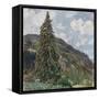 The Old Spruce in Bad Gastein, 1899-Rudolf von Alt-Framed Stretched Canvas