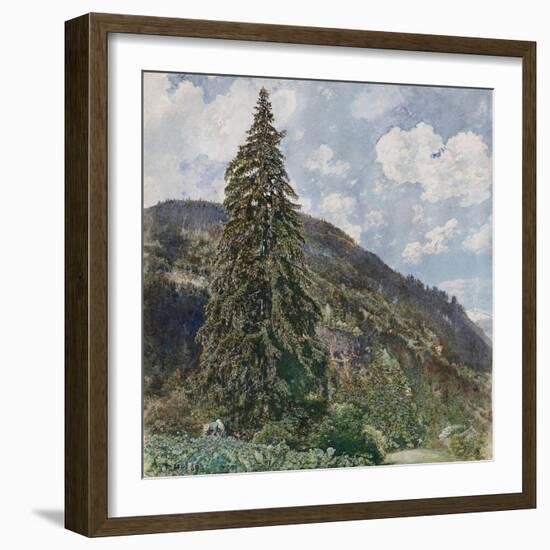 The Old Spruce in Bad Gastein, 1899-Rudolf von Alt-Framed Giclee Print