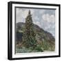 The Old Spruce in Bad Gastein, 1899-Rudolf von Alt-Framed Giclee Print