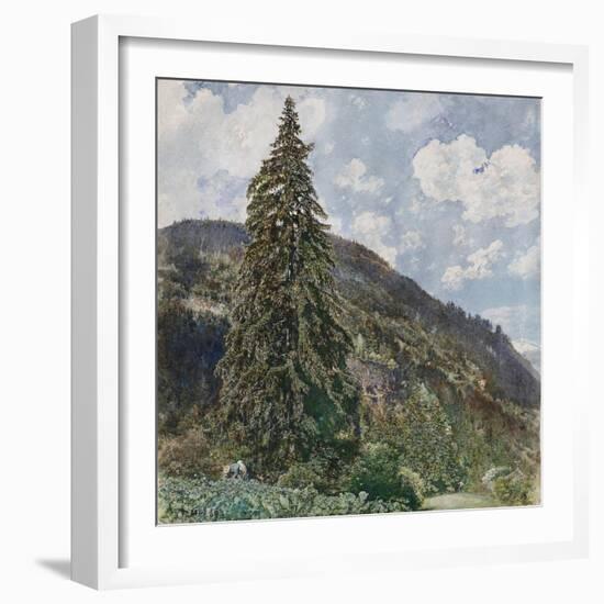 The Old Spruce in Bad Gastein, 1899-Rudolf von Alt-Framed Giclee Print