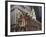 The Old State House, Built in 1713, Boston, Massachusetts, New England, USA-Amanda Hall-Framed Photographic Print