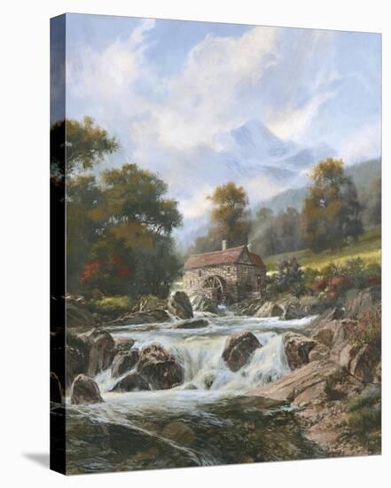 The Old Stone Mill-Nenad Mirkovich-Stretched Canvas