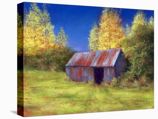 The Old Tin Shack, 2010-Anthony Rule-Stretched Canvas