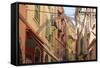 The Old Town, Monaco-Ville, Monaco, Europe-Amanda Hall-Framed Stretched Canvas