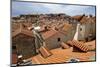 The Old Town of Dubrovnik, UNESCO World Heritage Site, Croatia, Europe-Simon Montgomery-Mounted Photographic Print
