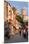 The Old Town of Mostar, UNESCO World Heritage Site, Herzegovina, Bosnia-Herzegovina, Europe-Gavin Hellier-Mounted Photographic Print