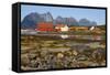 The Old Trading Centre of Kjerringoy, Nordland, Norway, Scandinavia, Europe-Doug Pearson-Framed Stretched Canvas