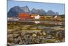 The Old Trading Centre of Kjerringoy, Nordland, Norway, Scandinavia, Europe-Doug Pearson-Mounted Photographic Print