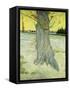 The Old Tree; Le Vieil If, 1888-Vincent van Gogh-Framed Stretched Canvas