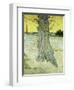 The Old Tree; Le Vieil If, 1888-Vincent van Gogh-Framed Giclee Print