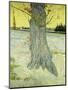 The Old Tree; Le Vieil If, 1888-Vincent van Gogh-Mounted Giclee Print