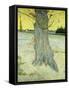 The Old Tree-Vincent van Gogh-Framed Stretched Canvas