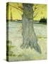 The Old Tree-Vincent van Gogh-Stretched Canvas