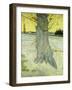 The Old Tree-Vincent van Gogh-Framed Giclee Print