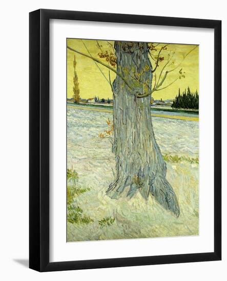 The Old Tree-Vincent van Gogh-Framed Giclee Print