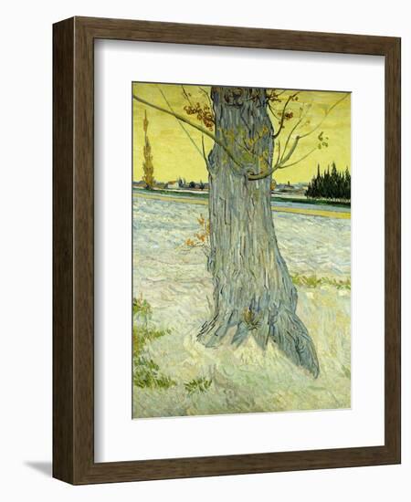 The Old Tree-Vincent van Gogh-Framed Giclee Print