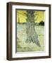 The Old Tree-Vincent van Gogh-Framed Giclee Print