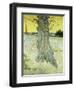 The Old Tree-Vincent van Gogh-Framed Giclee Print