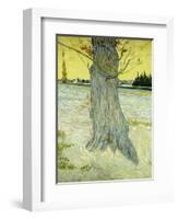 The Old Tree-Vincent van Gogh-Framed Giclee Print