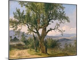 The Old Tree-Friedrich Gauermann-Mounted Giclee Print