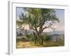 The Old Tree-Friedrich Gauermann-Framed Giclee Print