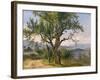 The Old Tree-Friedrich Gauermann-Framed Giclee Print