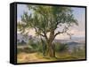 The Old Tree-Friedrich Gauermann-Framed Stretched Canvas