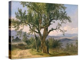 The Old Tree-Friedrich Gauermann-Stretched Canvas