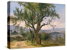 The Old Tree-Friedrich Gauermann-Stretched Canvas