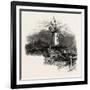The Old Windmill at Rye, Kent, UK-null-Framed Giclee Print