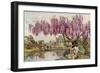 The Old Wistaria-Ella Du Cane-Framed Giclee Print