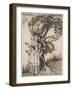 The Old Woman in the Wood, from Little Brother & Little Sister and Other Tales by the Brothers Grim-Arthur Rackham-Framed Giclee Print