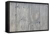 The Old Wood Texture with Natural Patterns-Madredus-Framed Stretched Canvas