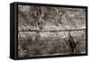 The Old Wood Texture with Natural Patterns-Madredus-Framed Stretched Canvas