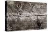 The Old Wood Texture with Natural Patterns-Madredus-Stretched Canvas