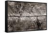 The Old Wood Texture with Natural Patterns-Madredus-Framed Stretched Canvas