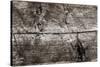 The Old Wood Texture with Natural Patterns-Madredus-Stretched Canvas