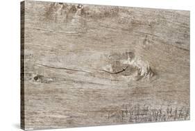 The Old Wood Texture with Natural Patterns-Madredus-Stretched Canvas