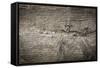 The Old Wood Texture with Natural Patterns-Madredus-Framed Stretched Canvas