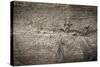 The Old Wood Texture with Natural Patterns-Madredus-Stretched Canvas