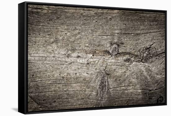 The Old Wood Texture with Natural Patterns-Madredus-Framed Stretched Canvas