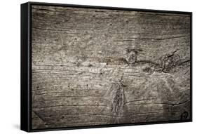 The Old Wood Texture with Natural Patterns-Madredus-Framed Stretched Canvas